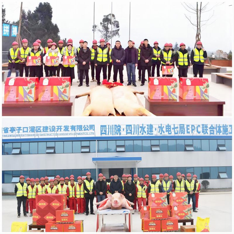 羅雪總經(jīng)理一行赴亭子口項(xiàng)目開(kāi)展調(diào)研慰問(wèn)活動(dòng)