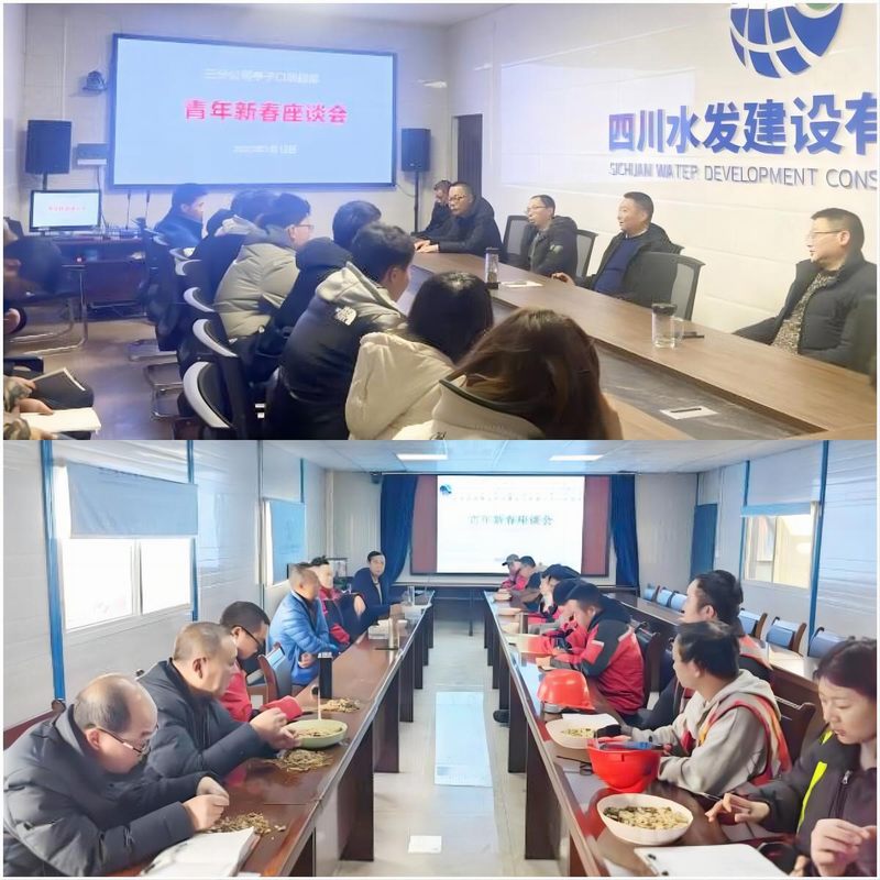 龍?zhí)另?xiàng)目部黨支部和亭子口項(xiàng)目部第二支部聯(lián)合組織召開(kāi)青年職工迎新春座談會(huì)